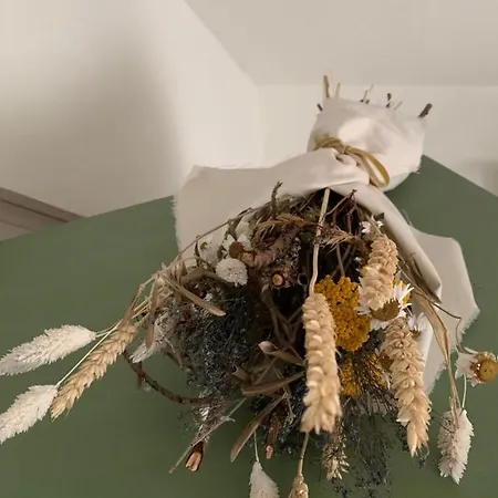 De Auw Sjoel Отель типа 