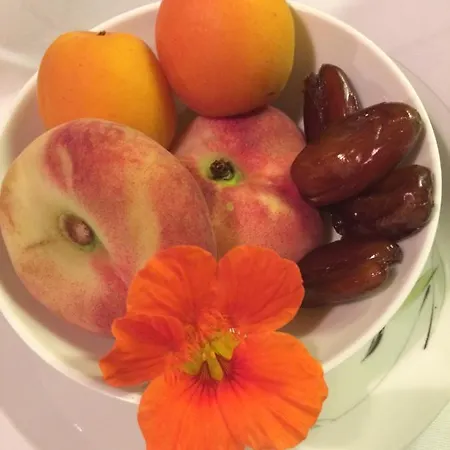 De Auw Sjoel * Klimmen