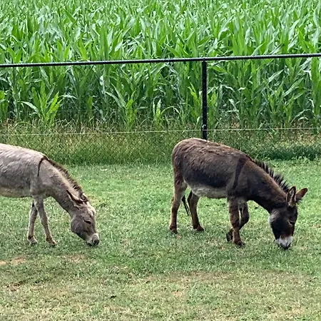 De Auw Sjoel Отель типа 