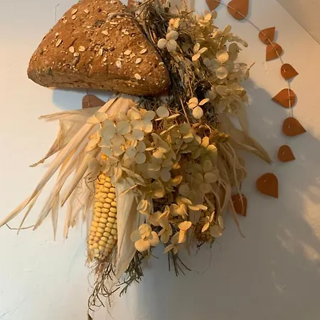 De Auw Sjoel * Klimmen