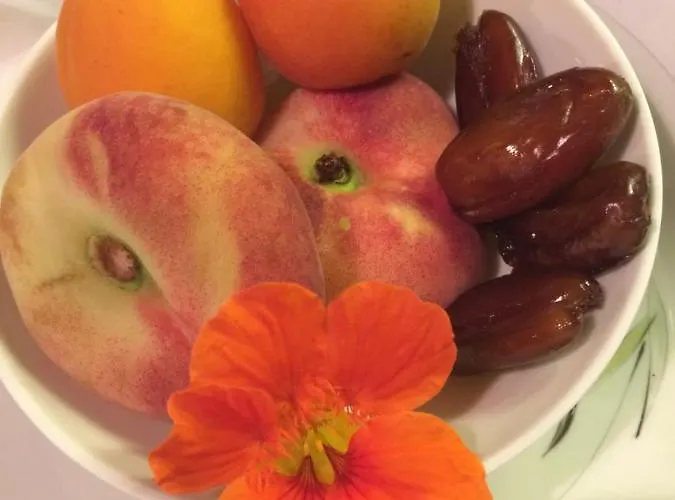 De Auw Sjoel * Klimmen